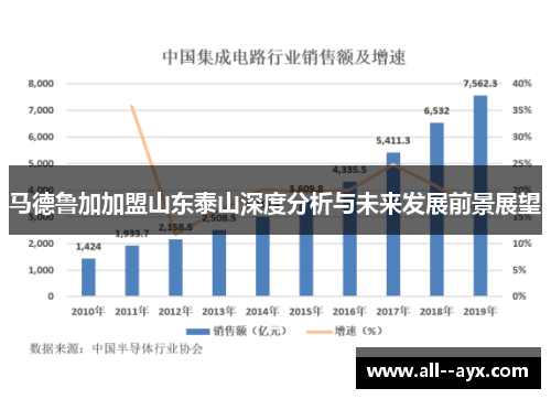 马德鲁加加盟山东泰山深度分析与未来发展前景展望
